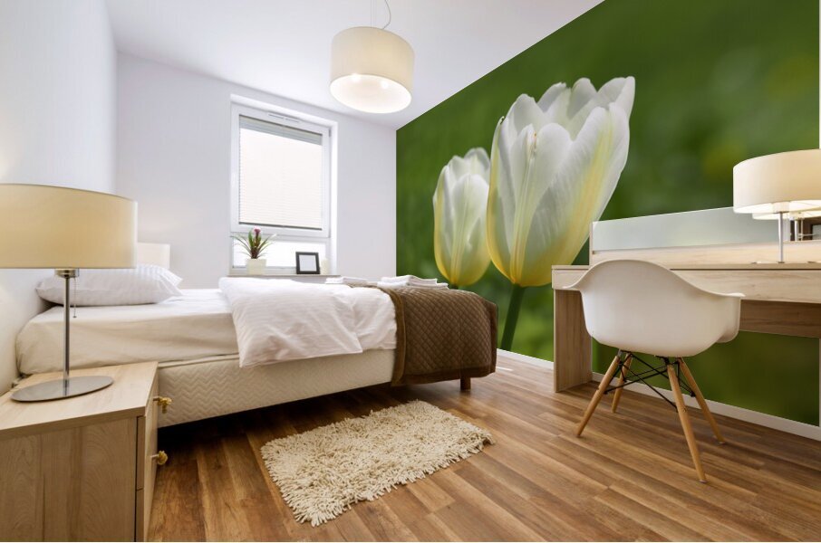 Yellow and White Mural print