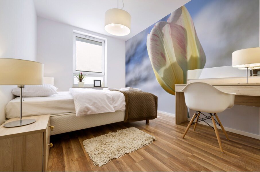 Head in the Clouds Mural print