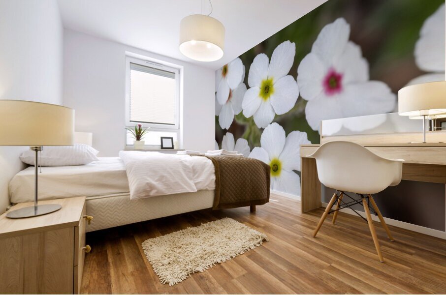 Colorful Dots Mural print