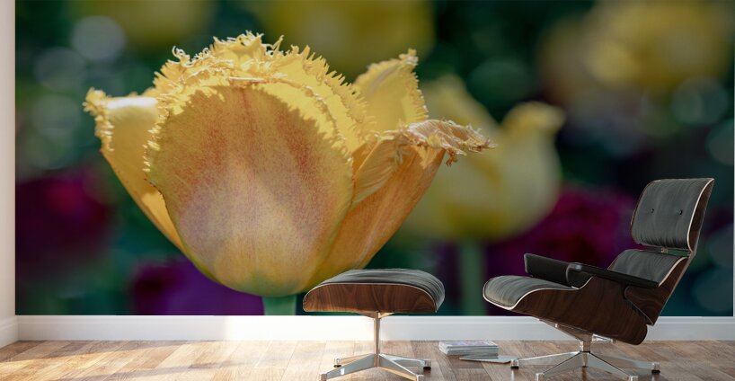 Fringed Blossom Wall Murals