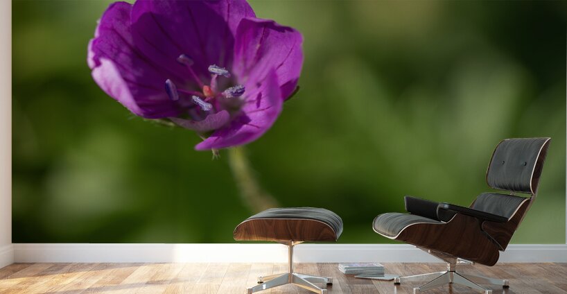 Little Beads Wall Murals