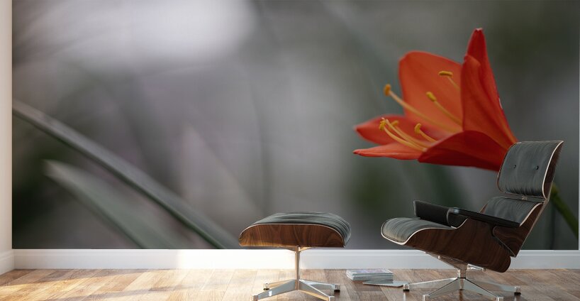 Naked Lady Wall Murals