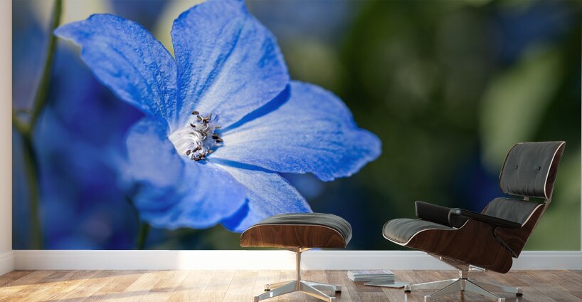 Guardian Lavender Wall Murals