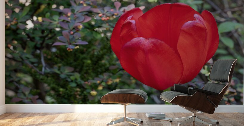 Red as Blood Wall Murals