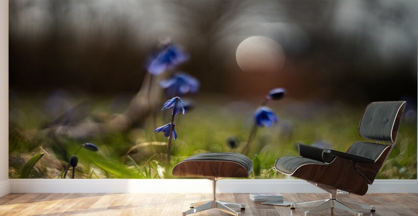 Siberian Squill Wall Murals