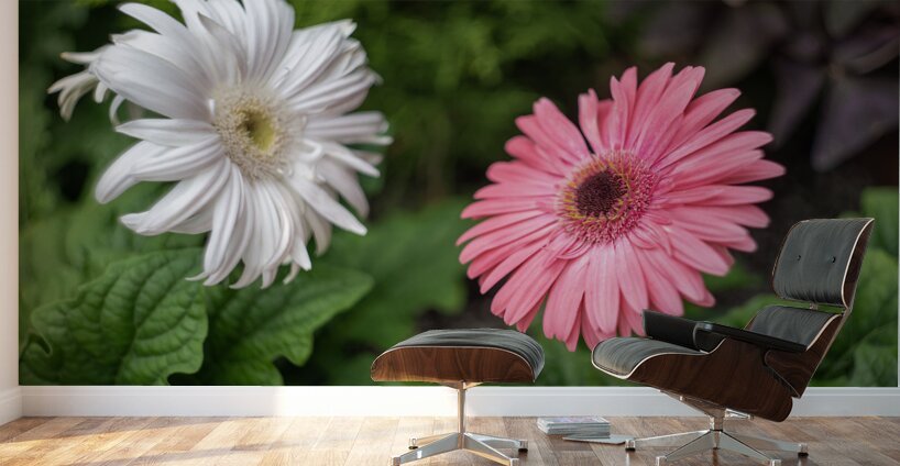 Pearl Petals Wall Murals