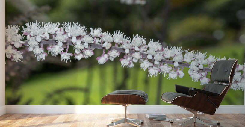 Fairy Candle Wall Murals