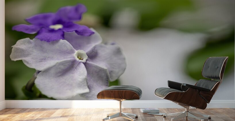 Mauve Melody 1 Wall Murals