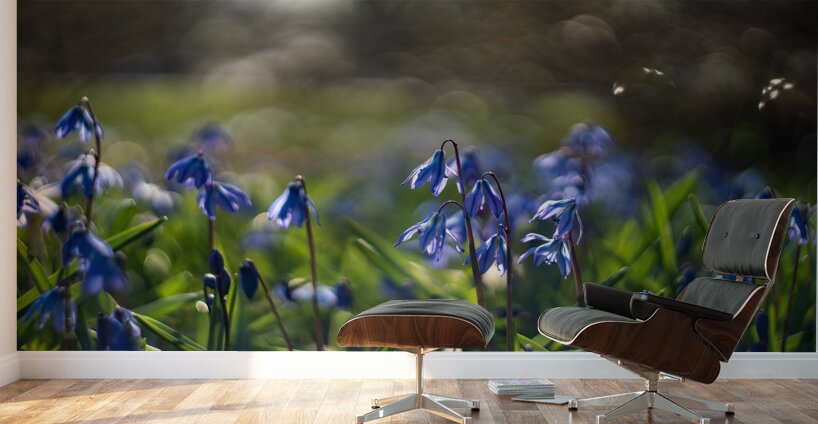 Meadow Melody Wall Murals