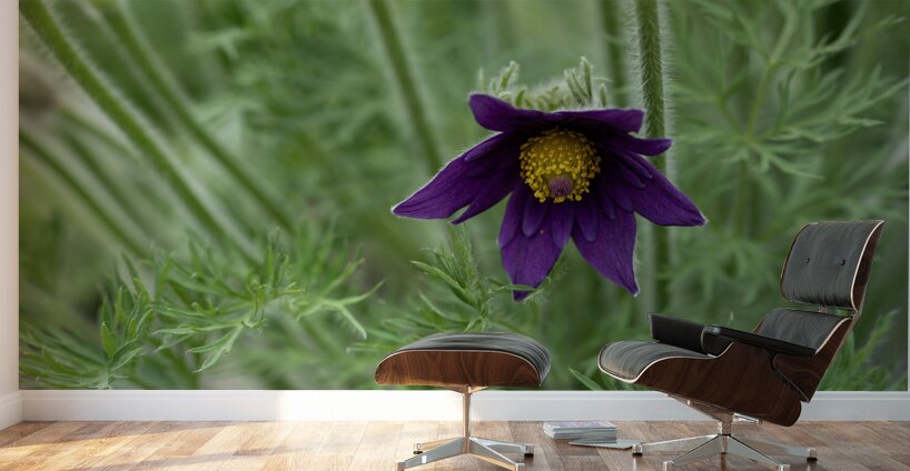 Purple Paradise Wall Murals