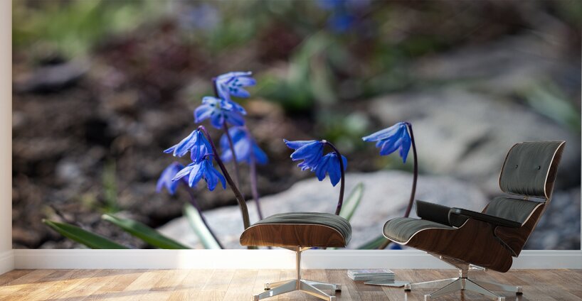 Ethereal Blossoms Wall Murals