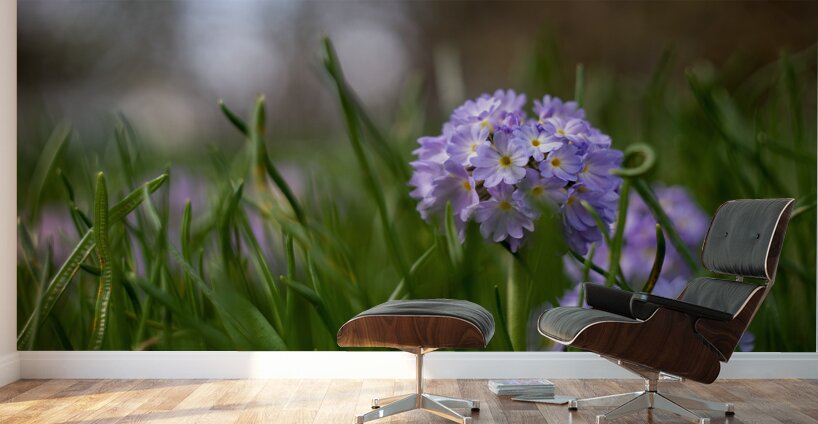 Purple Hues Wall Murals