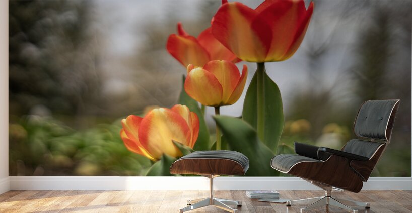 Sunshine Dance Wall Murals