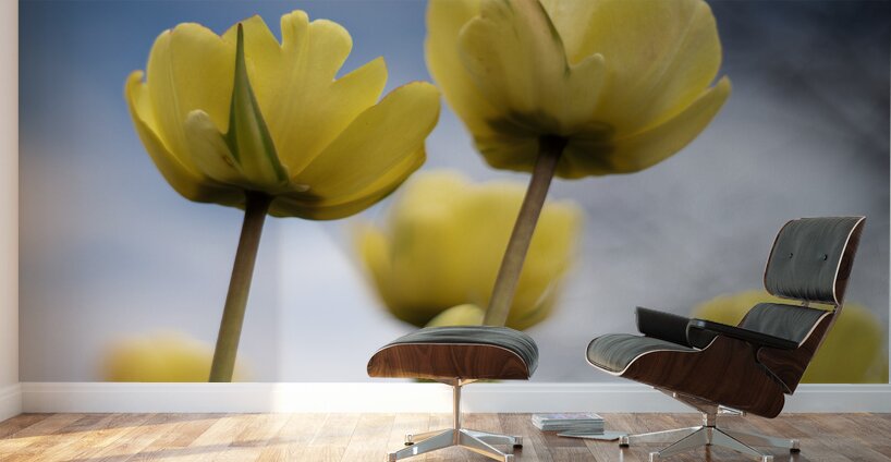 Yellow Cascade Wall Murals