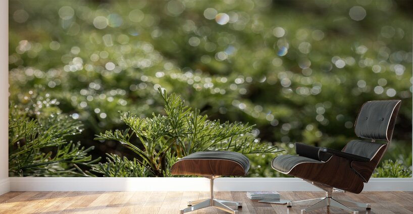 Spring Bokeh Wall Murals