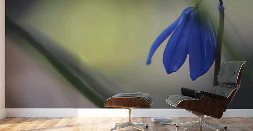 Tiny Blue Umbrella Wall Murals