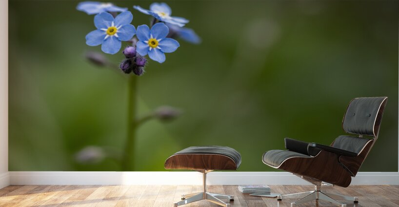 Never Forget Wall Murals