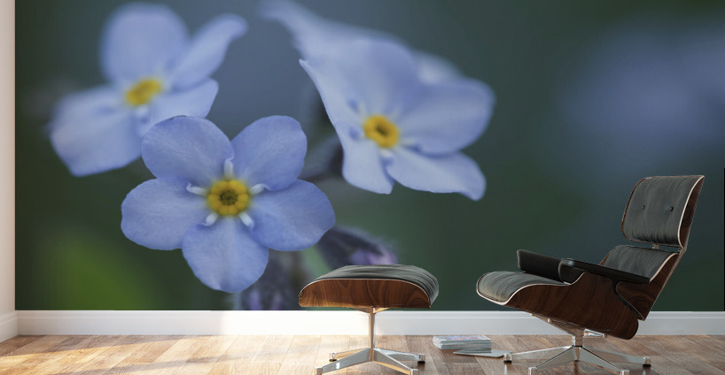 Ladies In Blue Wall Murals