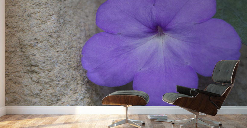 Magic Flower Wall Murals