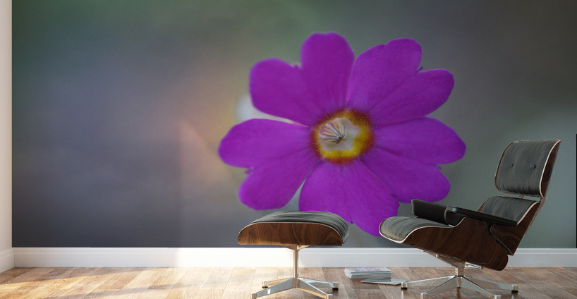 Delicate Beauty Wall Murals