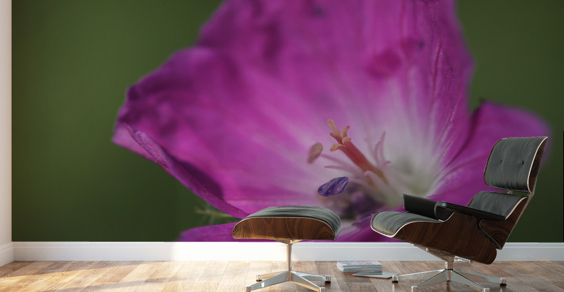 The Heart Of It Wall Murals