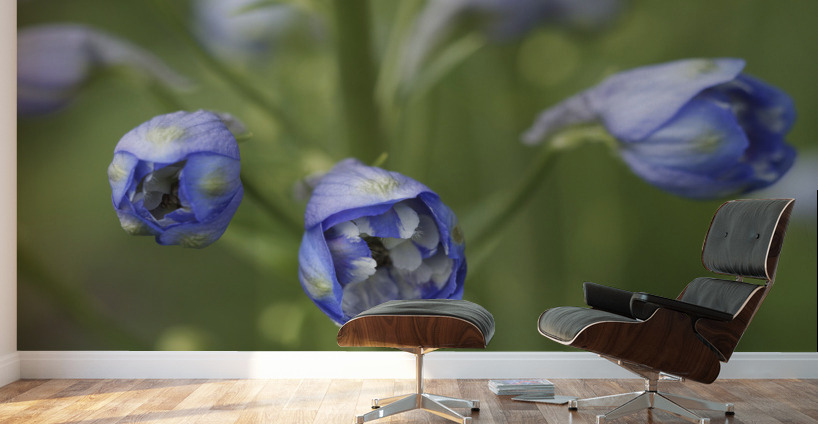 Blue Delphinium Buds Wall Murals