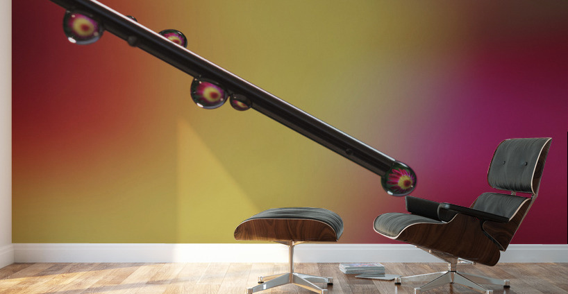 Experiment Wall Murals