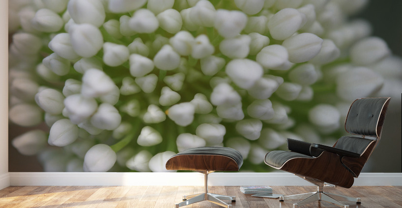 Another World Wall Murals