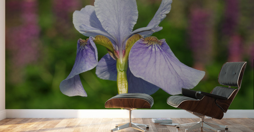 Violet Blue One Wall Murals