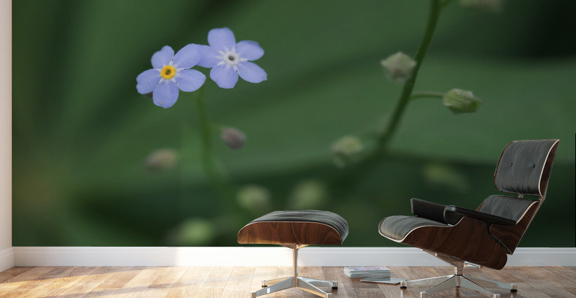 Small Universe Wall Murals