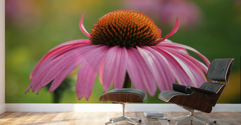 Little Devil Wall Murals