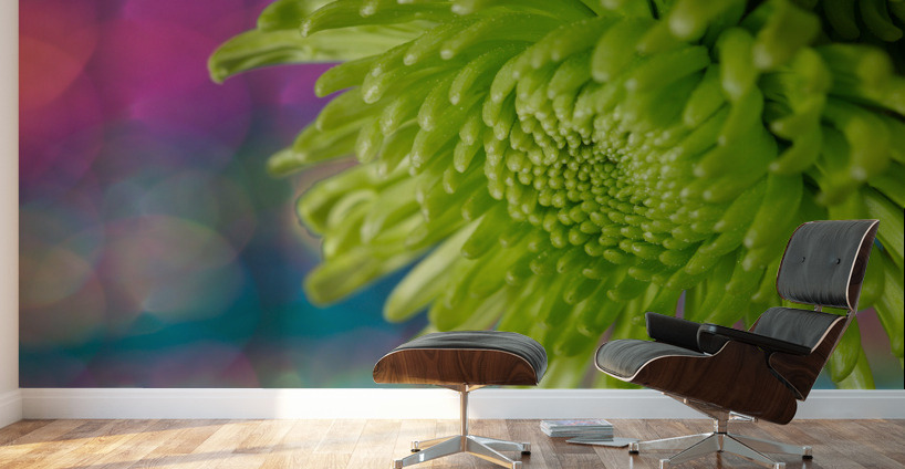 Green Chrysanthemum Wall Murals