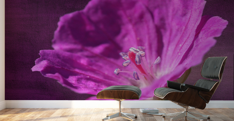 Bloody Geranium Wall Murals