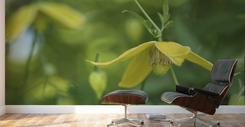 Golden Tiara Wall Murals