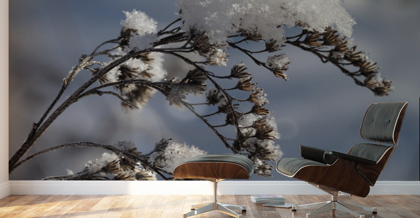 Frosted Twig Wall Murals