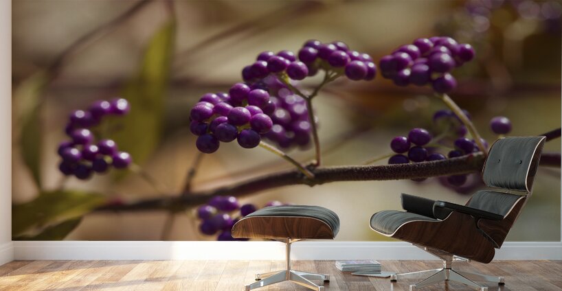 Profusion Wall Murals