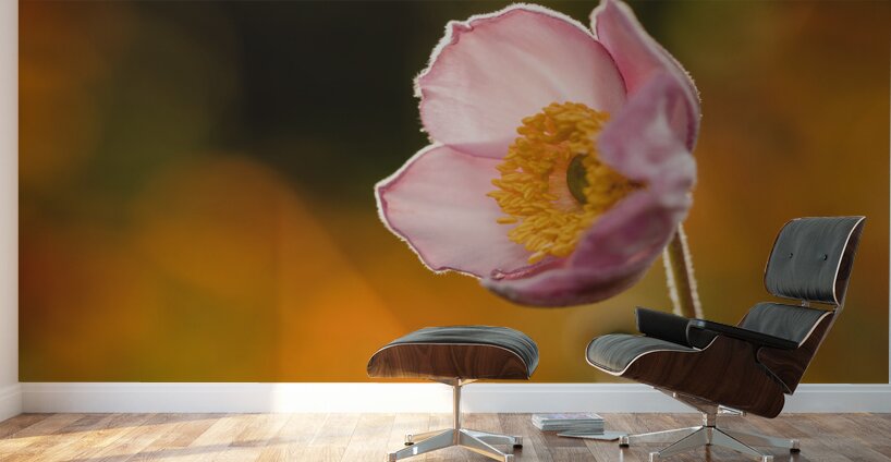 Among Others Wall Murals