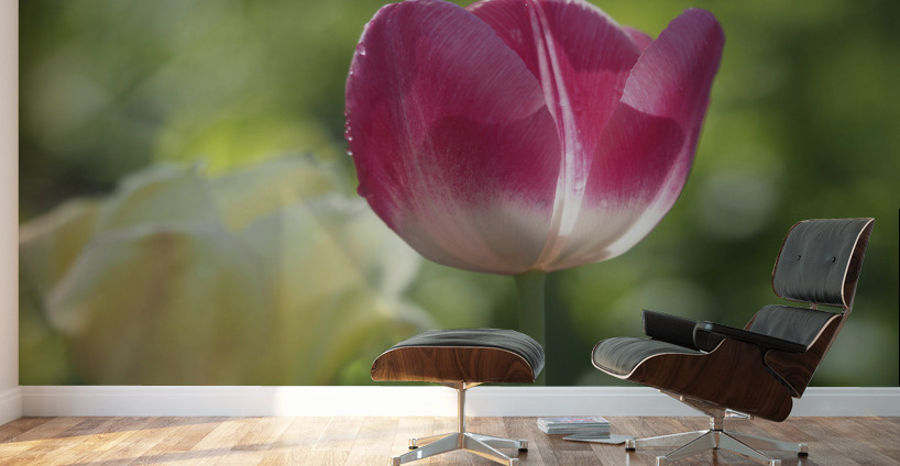 Simple Beauty Wall Murals