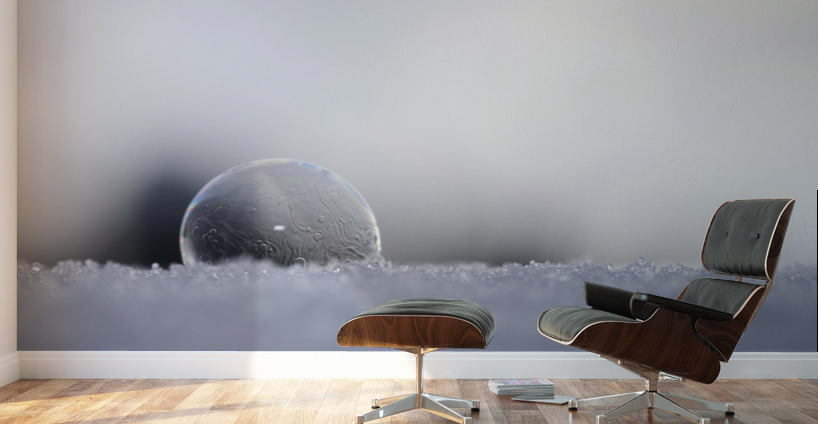 Soap Bubble Wall Murals