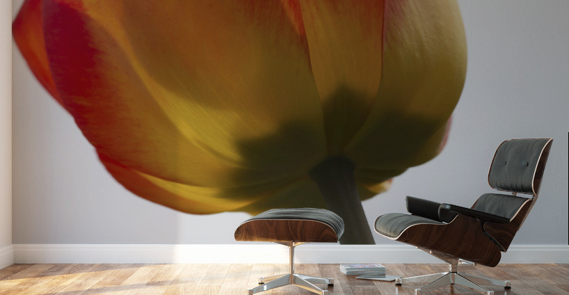 Tall One Wall Murals