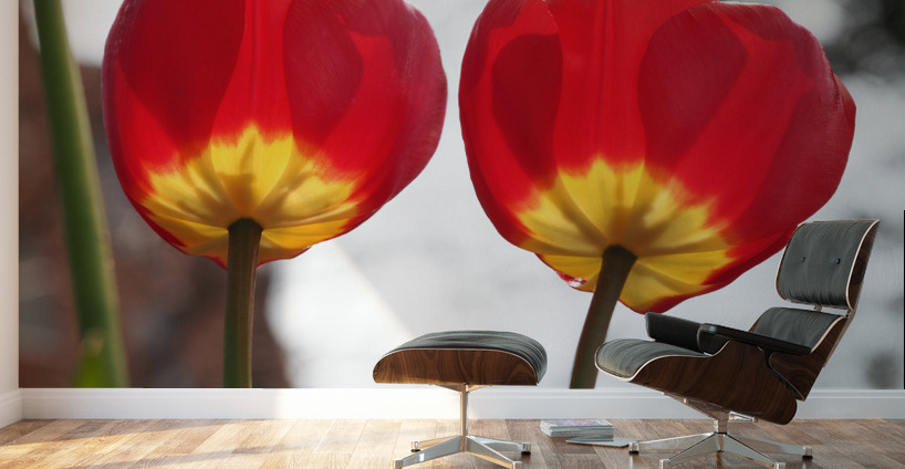 Twin Sisters Wall Murals