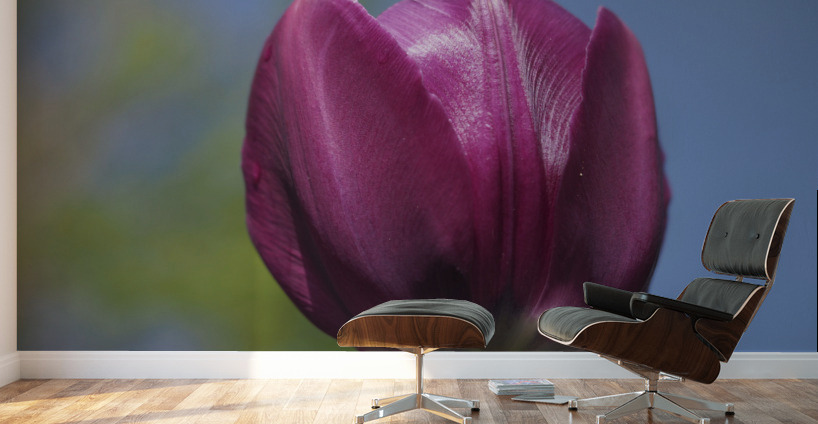 Perfect Day Wall Murals