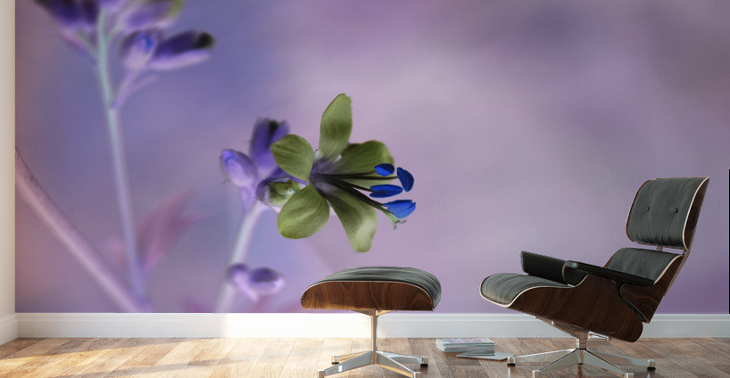 Jacob s Ladder Wall Murals