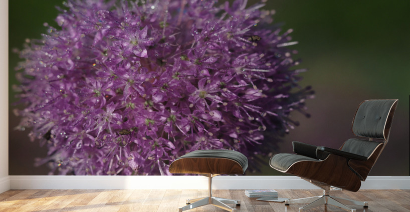 Jewels In Nature Wall Murals