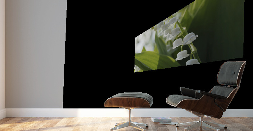 May Lilies Wall Murals