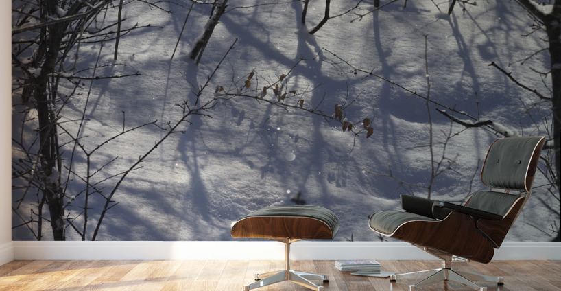 Peaceful Wall Murals