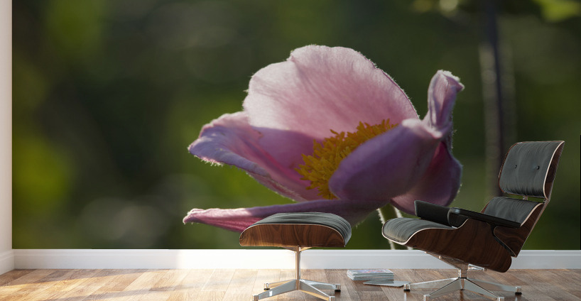 Broken Bowl Flower Wall Murals