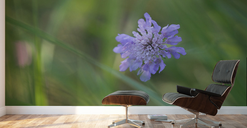 Butterfly Blue Wall Murals