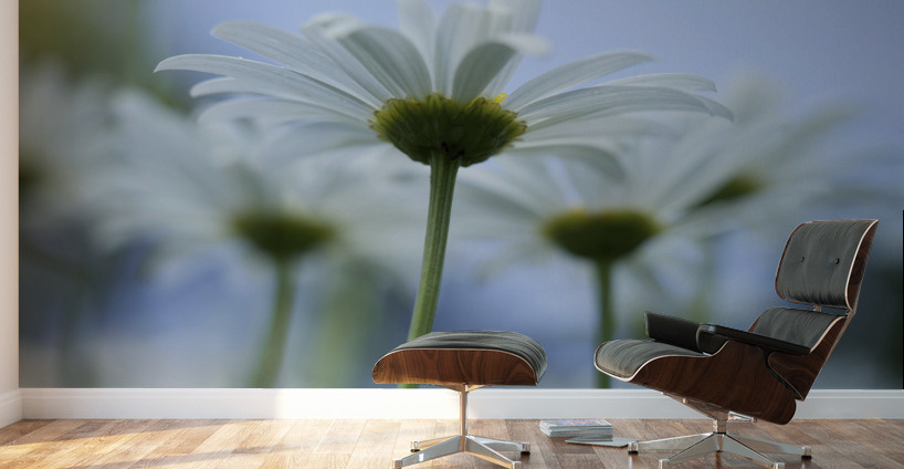 From Under Wall Murals