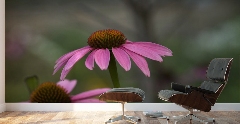 Ladies in Pink Wall Murals